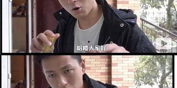 网红爆料激烈视频大全,激烈视频大全，揭秘网络背后真相